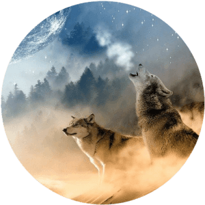 2023 full moon calendar: wolves howling to represent the Wolf Moon